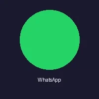 WhatsApp客服支持图标